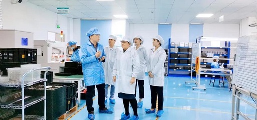 攜手共進，共創(chuàng)未來——深圳擔(dān)保集團蒞臨云里物里考察指導(dǎo)軟件開發(fā)工作